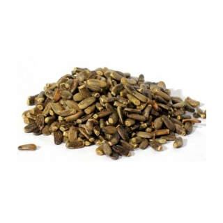 OSTROPEST PLAMISTY CAŁE ZIARNA 100G