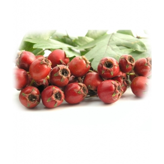 GŁÓG OWOC 100G
