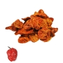 PAPRYKA HABANERO 1 KG