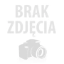 CHRYZANTEMA CHIŃSKA KWIAT 10 G